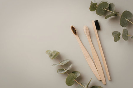 Three bamboo toothbrushes with different colored bristles arranged on a gray background surrounded by eucalyptus leaves promoting eco friendly oral hygiene practices.の写真素材