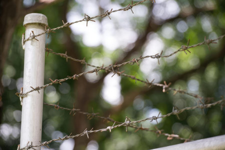 Close-up of barbed wire fence with a soft green blurred background, outdoor setting.