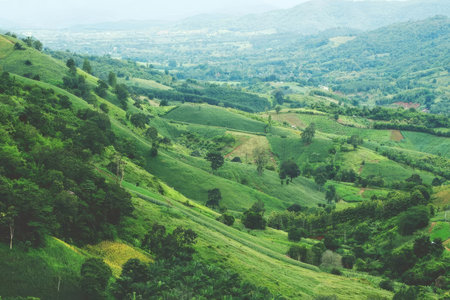 A scenic aerial shot of lush green hills, farmland, and winding roads in a rural landscape