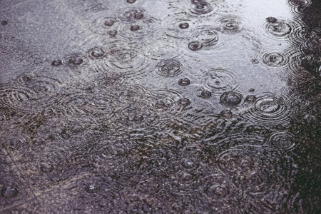 Close-up of raindrops hitting a wet ground, forming ripples and circles
