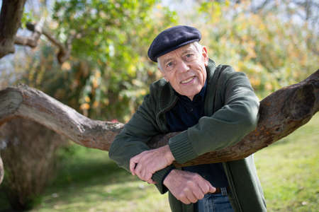Close-up of aged man posing for camera under tree. Gray-haired man standing in park leaning on tree branch with elbows and looking at camera. Active rest and leisure activity of aged people conceptの写真素材