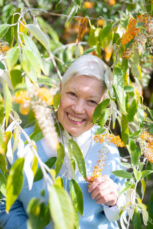 Portrait of aged woman under tree in blossom. Smiling woman enjoying sunny day in park, looking at camera through tree branches with yellow flowers. Healthy lifestyle and rest of aged people conceptの写真素材