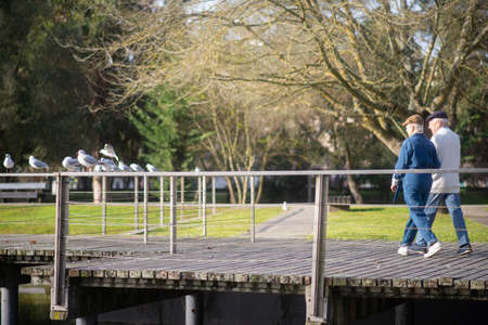 Senior couple calmly strolling together. Grey-haired man and woman in casual clothes holding hands enjoying warm spring weather and walking in park. Spending time and active rest together conceptの写真素材