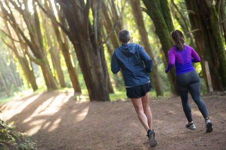 Back view of enthusiastic man and woman jogging in forest. Two sporty people in sportive clothes...