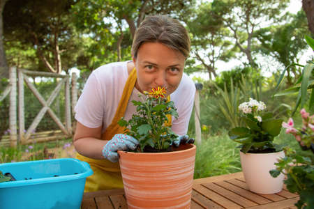 Happy woman growing potted plants. Female gardener in apron and gloves smelling flower in pot. Gardening, hobby conceptの写真素材