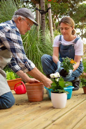 Woman and man growing plants in pots. Female and male gardeners working together. Gardening, hobby conceptの写真素材