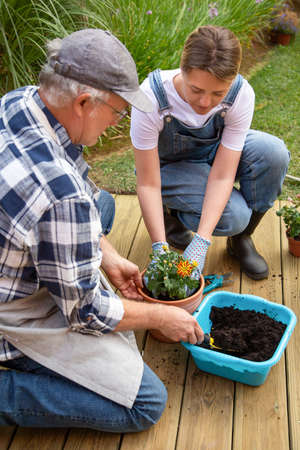 Focused woman and man growing plants in pots. Female and male gardeners working together. Gardening, hobby conceptの写真素材