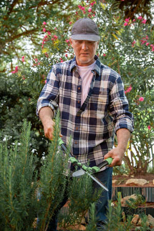 Focused man pruning bush. Gardener removing dry branches from tree. Gardening, hobby conceptの写真素材