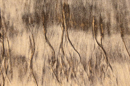 Structures in the sand from tiny trickling rivulets beach receding watersの写真素材