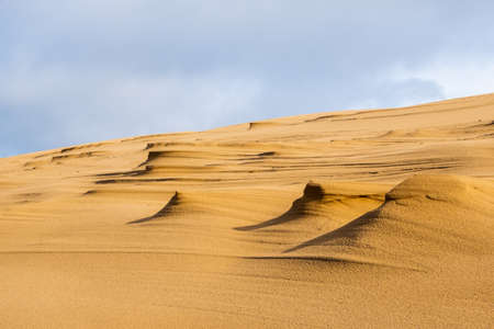 Structures and patterns on the surface of a huge sand dune, Dune du Pilat, Franceの写真素材
