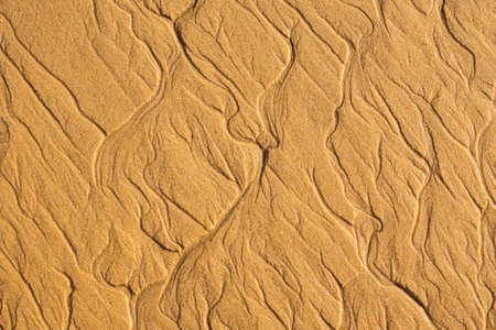 Structures in the sand from tiny trickling rivulets of receding water, Dune du Pilat, Franceの写真素材