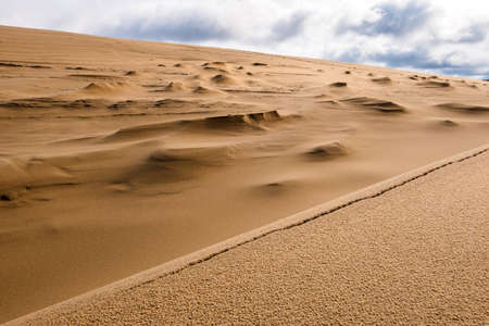 Structures and patterns on the surface of a huge sand dune, Dune du Pilat, Franceの写真素材