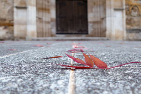 autumn colored leaf on granite yard in front of marble church gateの写真素材