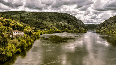 Riverside viewpoint over large stream in lush greenery in surreal color and contrastの写真素材