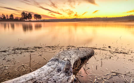 Orange colored sunset sky reflection on calm lake water surface with sunken log in foregroundの写真素材