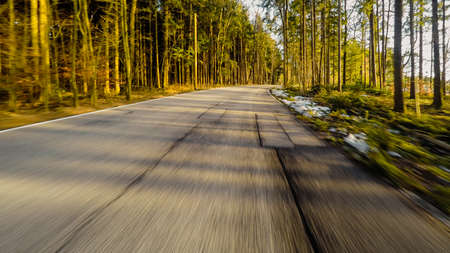 Blurred motion driver POV of road through bare tree forest in winter