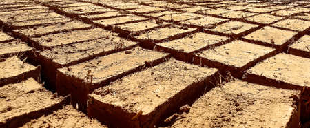pattern of hand made african clay bricks layed out for drying in the sun