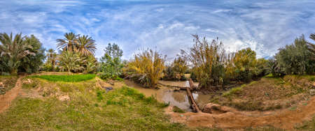 Lush green plants in Meski desert oasis against blue sky, Morocco