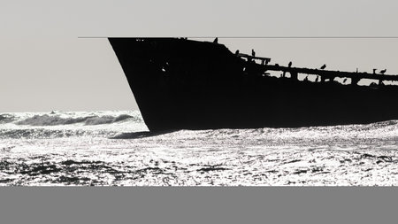 black and white close-up of famous shipwreck near the beach in bright daylight, Moroccoの写真素材