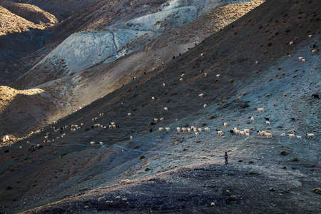 goatkeeper with stove in the mountainsの写真素材