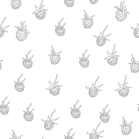 Seamless pattern with raspberry fruit black isolatedのイラスト素材