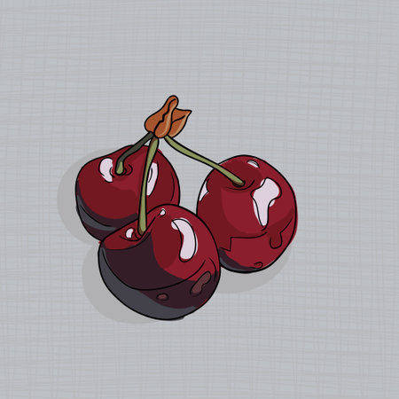 Three sweet cherries hand-drawn illustration
