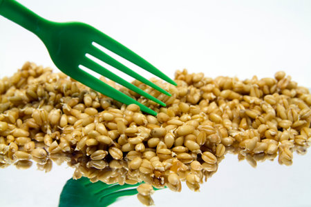 Wheat sprouts and green plastic forkの写真素材