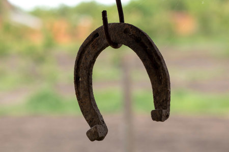 Old rusted horseshoe with a spiderweb on blurred backgroundの写真素材