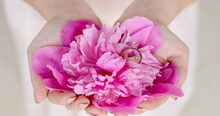 wedding couple are holding rose petals and wedding rings in handsの写真素材