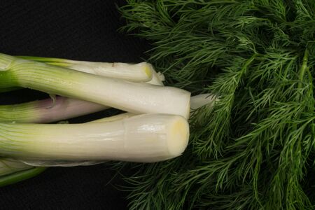 Green young onion on a black background. Top view of the cameraの写真素材