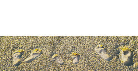 ootprints of two adults and two children the sandの写真素材