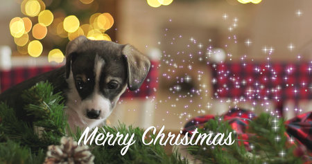 Christmas card with cute puppy on bokeh background. Merry Christmas