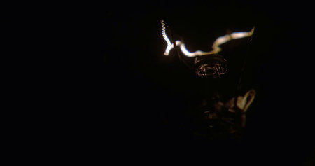 Close-up of an incandescent lamp on a black backgroundの写真素材