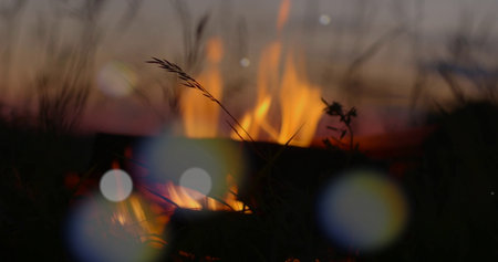 Flames in the field at sunset. Shallow depth of field.