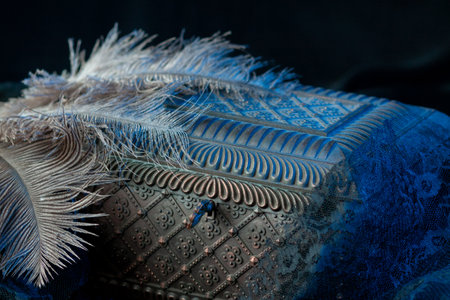 The wrought iron chest is decorated with a carved pattern, on which lie ostrich feathers in blue neon light. Magical artifact against dark drapery in a black circleの写真素材