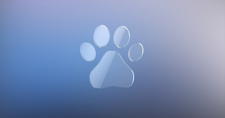 Paw Glass 3d Icon on Gradient Backgroundの写真素材