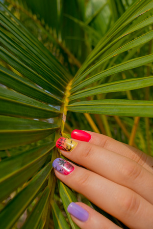 Hands of girl on leaves of palm treeの写真素材