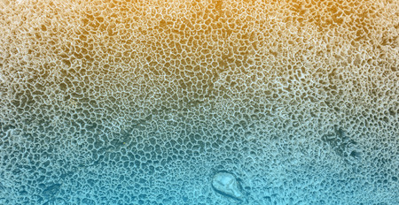 Coral texture and background. Color Toned