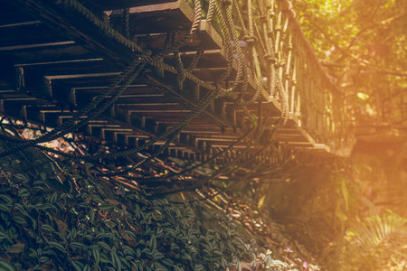 Wooden Bridge in Jungle. Color Tonedの写真素材