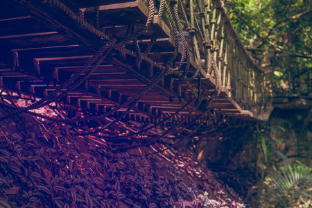 Wooden Bridge in Jungle. Color Tonedの写真素材