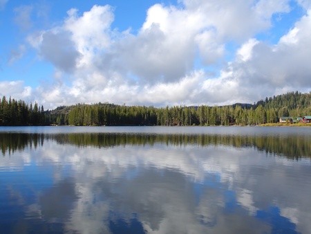 Summer landscape 