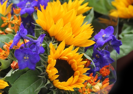 flower bouquetの写真素材