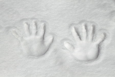 Two hand print in snowの写真素材