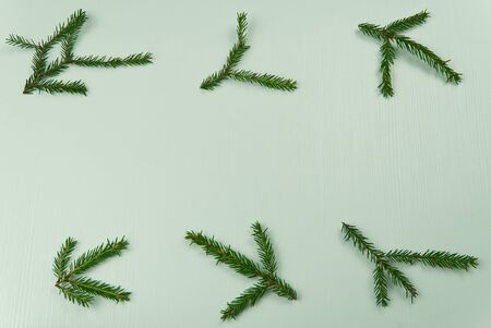 spruce branches on a white wooden background. mock-upの写真素材