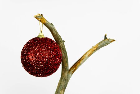 Modern Christmas. human footprint in ecology. So the Christmas tree can look out if we do not follow the ecology. dried Christmas tree with toys on a white background. with copy spaceの写真素材