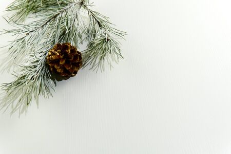 fir branches with cone on a white wooden background. Copy Space, flat layの写真素材