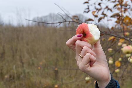 Bitten fresh apple in female hands. apples must be included in the fall dietの写真素材