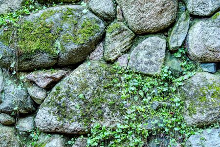 Close-up Stone wall with moss, abstract background.の写真素材
