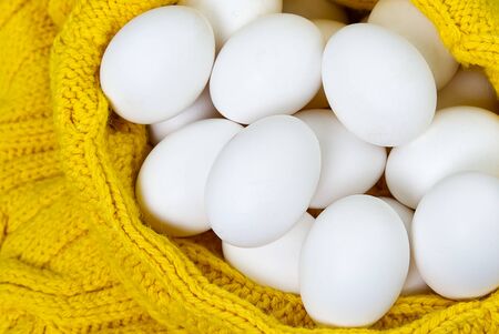 white chicken eggs in yellow wool sweater. lot of white eggs close up.