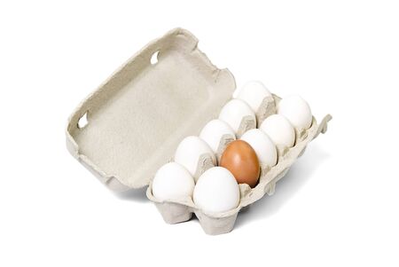 Paper Egg Tray with white eggs. chicken white eggs close up. farm chicken ecologic eggs.の写真素材